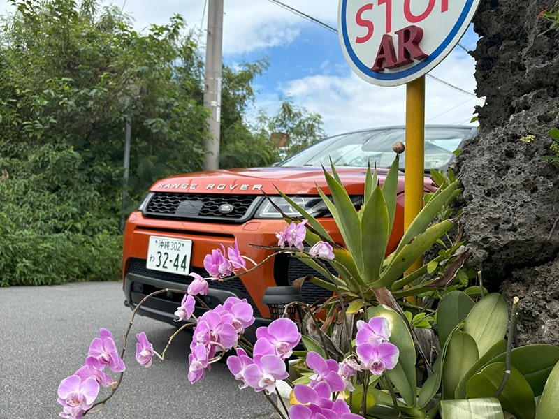写真9