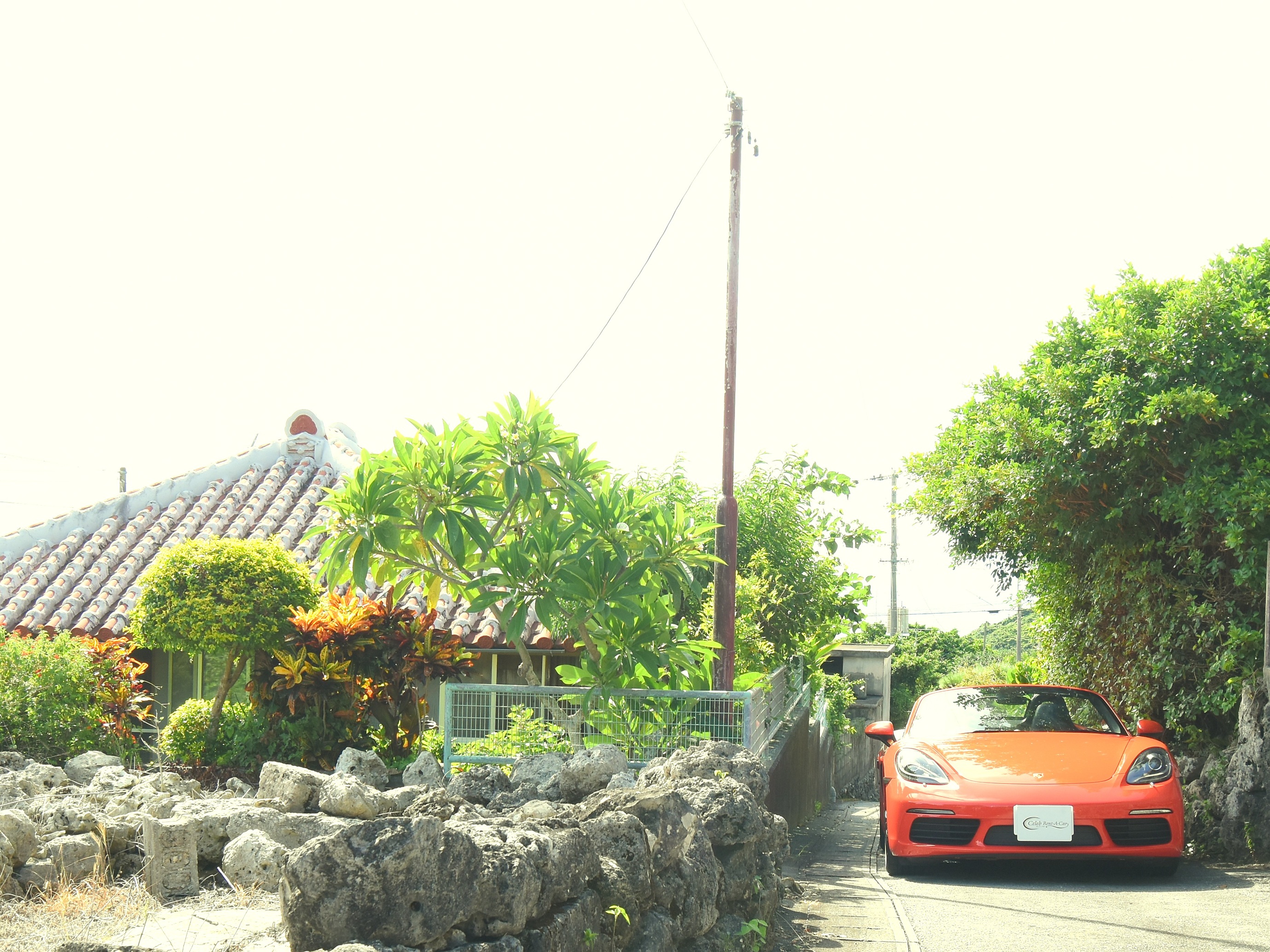 写真9