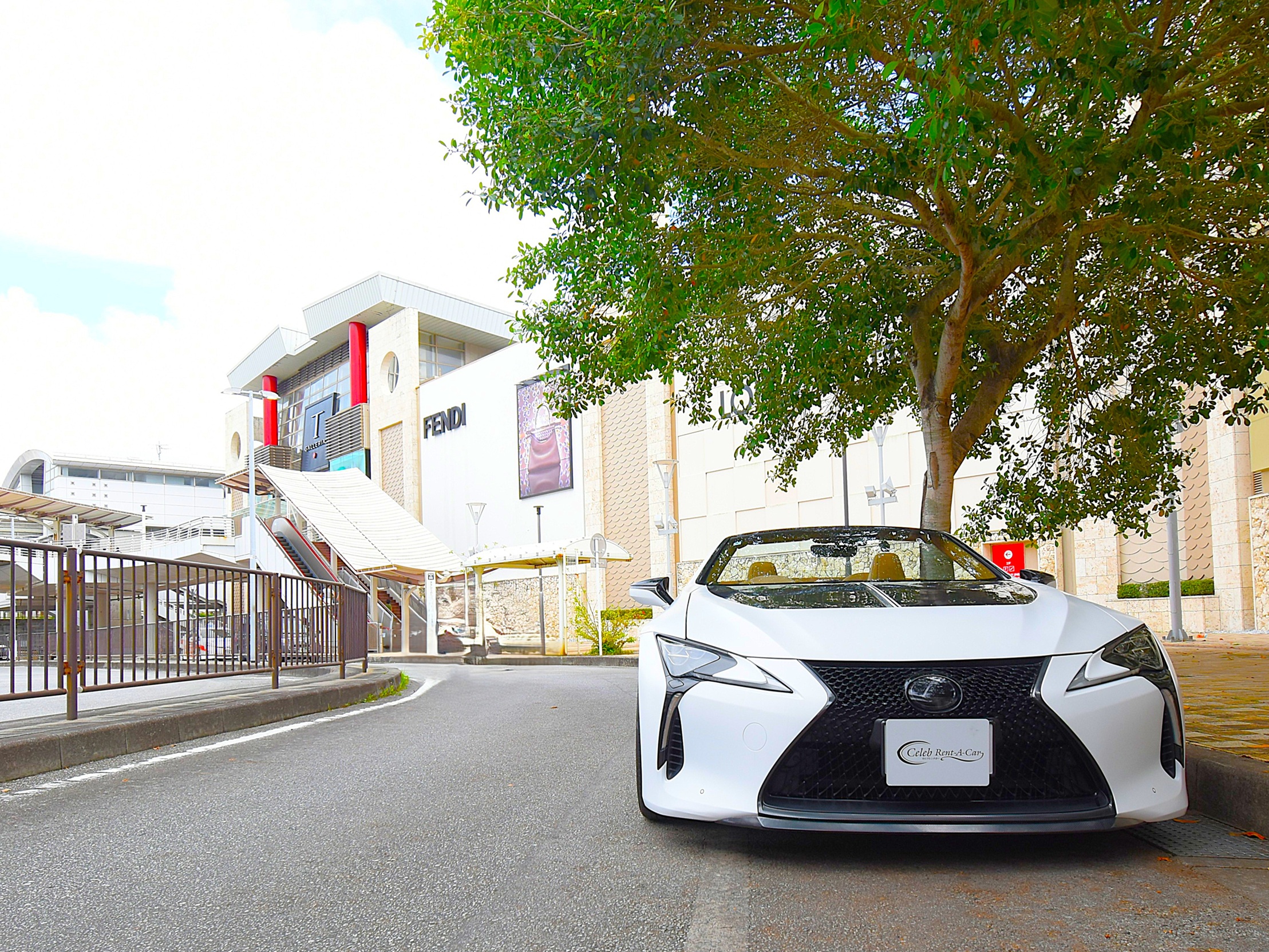 写真9